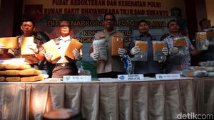 Bongkar Jaringan Aceh-Jakarta, Polisi Sita 310 Kg Ganja