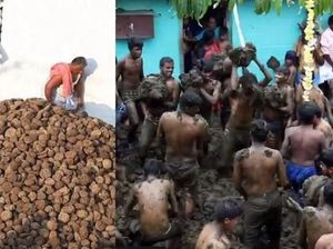 Bukan Tomat, Festival Ini Saling Lempar Kue dari Kotoran Sapi Bukan Tomat, Festival Ini Saling Lempar Kue dari Kotoran Sapi