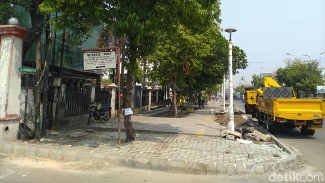 Pohon di Jakarta: Dilabeli Sebelum Dieksekusi Pohon di Jakarta: Dilabeli Sebelum Dieksekusi