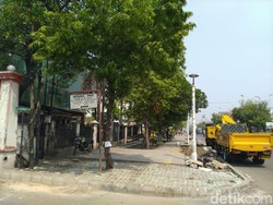 Pohon di Jakarta: Dilabeli Sebelum Dieksekusi