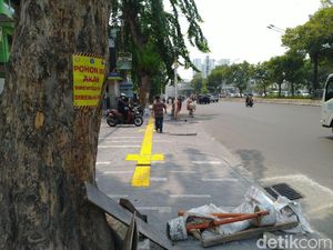 Ada 31 Pohon di Trotoar Kramat Dipasangi Poster Akan Ditebang