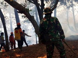 Puntung Rokok Diduga Pemicu Kebakaran di Gunung Halimun Salak