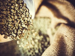 Mengenal Kopi Hijau dengan Segudang Manfaat