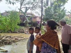 Belasan Bangkai Babi Juga Ditemukan di Sungai Babura Medan