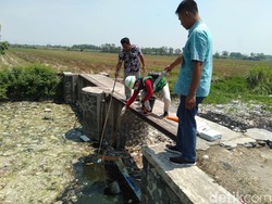 DLH Mojokerto Ambil Sampel Air Sungai Ledeng Cek Tingkat Pencemarannya