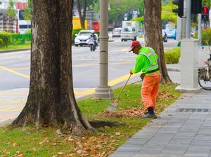 Singapura Berdarah-darah Menjadi Negara Bersih