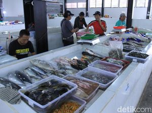 Jepang Juga Minat Investasi di Pulau Terluar RI Lain Selain Natuna