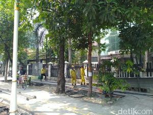 Melihat Pohon-pohon Rindang di Trotoar Kramat yang Bakal Tinggal Kenangan Melihat Pohon-pohon Rindang di Trotoar Kramat yang Bakal Tinggal Kenangan