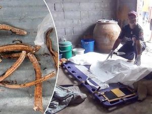 Ikut Tantangan dan Pola Makan Aneh, Orang-orang Ini Tewas Saat Makan Ikut Tantangan dan Pola Makan Aneh, Orang-orang Ini Tewas Saat Makan