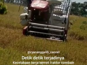 Viral, Buruh Tani di Ngawi Selamat Setelah Jatuh ke Mesin Pemanen Padi