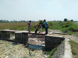 Sungai Ledeng di Mojokerto Diduga Tercemar Limbah dari 14 UKM Ini