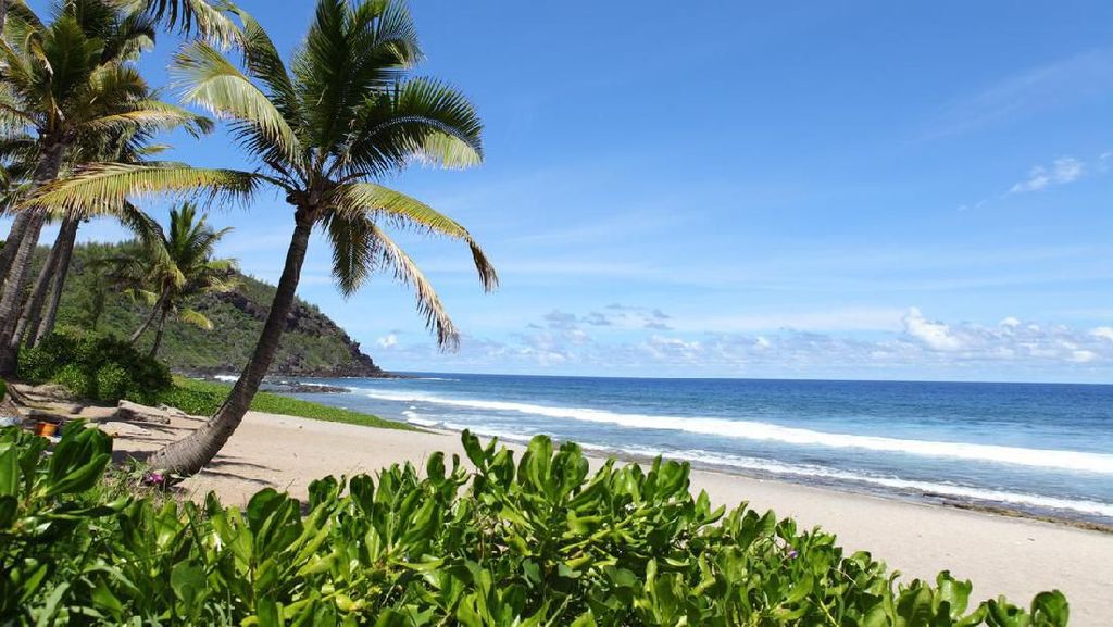 Foto Pulau Cantik tapi Banyak Hiu Foto Pulau Cantik tapi Banyak Hiu