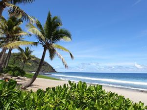 Foto Pulau Cantik tapi Banyak Hiu Foto Pulau Cantik tapi Banyak Hiu