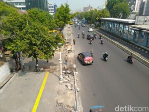 Pohon di Trotoar Kramat Bakal Ditebang, Warga Khawatir Makin Gersang Pohon di Trotoar Kramat Bakal Ditebang, Warga Khawatir Makin Gersang