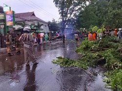 Pohon Tumbang di Cicalengka Bandung, Arus Lalu Lintas Dialihkan
