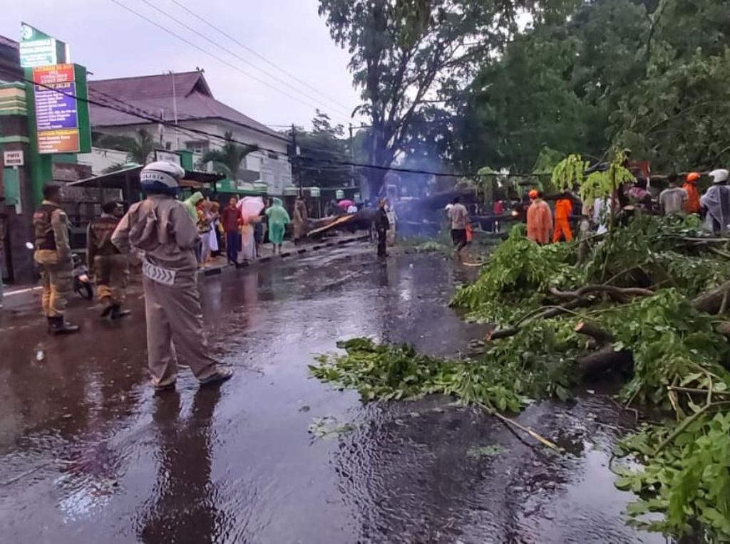 Pohon Tumbang di Cicalengka Bandung, Arus Lalu Lintas Dialihkan Pohon Tumbang di Cicalengka Bandung, Arus Lalu Lintas Dialihkan