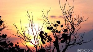 Terpukau Indahnya Sunrise di Pulau Terdepan RI