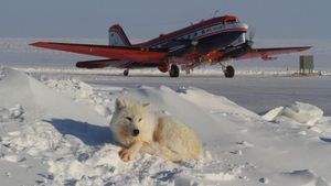 Penampakan 7 Bandara Terpencil di Dunia, Intip Yuk