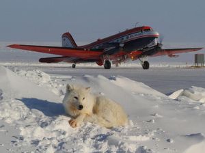Penampakan 7 Bandara Terpencil di Dunia, Intip Yuk