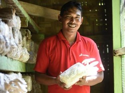 Manfaatkan Limbah Sawit, Warga Aceh Tamiang Sukses Budidayakan Jamur