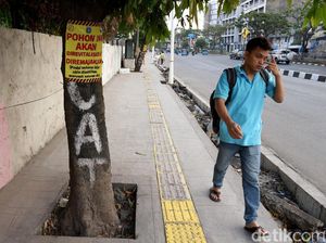 Tak Cuma Trotoar, Pohon di Ibu Kota Juga Akan Direvitalisasi