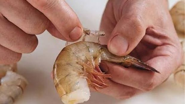 Ilustrasi udang