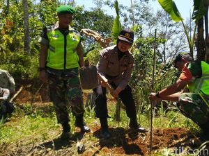 Atasi Krisis Air, TNI-Polri Tanam 8.000 Pohon di Gunung Sawal Ciamis