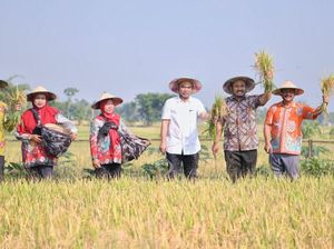 Di Ngawi, Wamendes PDTT Resmikan Wisata Sawah Merti Boemi