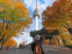 5 Tempat Wisata Gratis di Korea Selatan