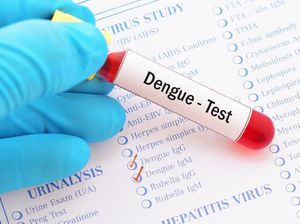 Enam Strategi Kemenkes Tekan Laju Kasus Dengue Nasional