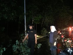 Saat Bupati Anna Tinjau Lokasi Terdampak Angin Kencang di Bojonegoro