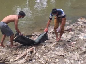Pemkot Medan Bersihkan Bangkai Babi di Sungai Deli Pemkot Medan Bersihkan Bangkai Babi di Sungai Deli