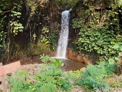 Bukan Bumbu Dapur, Ini Coban Jahe yang Mungkin Belum Kamu Tahu