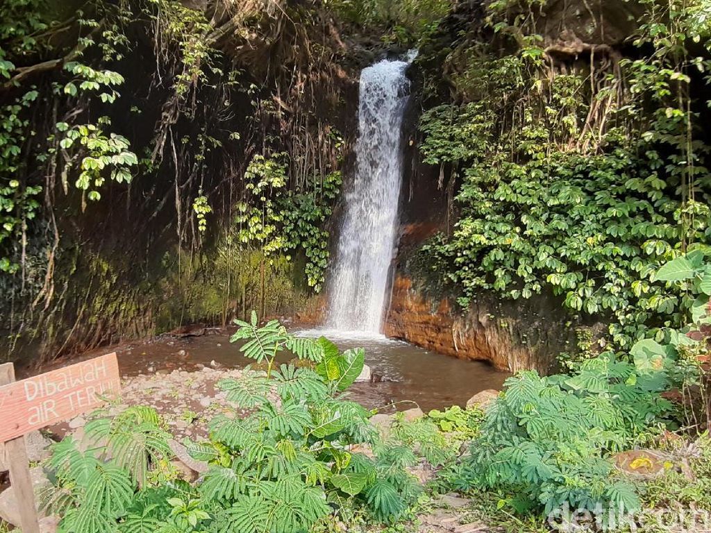 Bukan Bumbu Dapur, Ini Coban Jahe yang Mungkin Belum Kamu Tahu Bukan Bumbu Dapur, Ini Coban Jahe yang Mungkin Belum Kamu Tahu