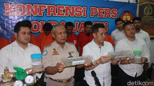 Penyelundupan Benih Lobster Rp 7 7 Miliar Dari Jambi Singapura