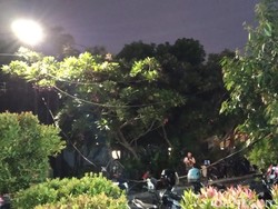 Sopir Truk Tabrak Kabel hingga Putus di Cilandak: Biasanya Lewat Tak Apa