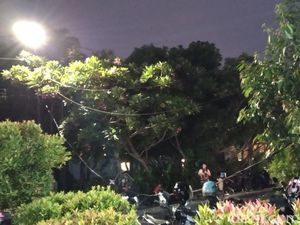 Sopir Truk Tabrak Kabel hingga Putus di Cilandak: Biasanya Lewat Tak Apa Sopir Truk Tabrak Kabel hingga Putus di Cilandak: Biasanya Lewat Tak Apa