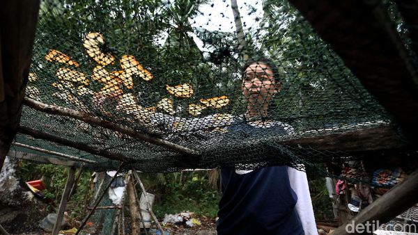 Berkah di Balik Bisnis Kerupuk di Perbatasan Indonesia-Singapura