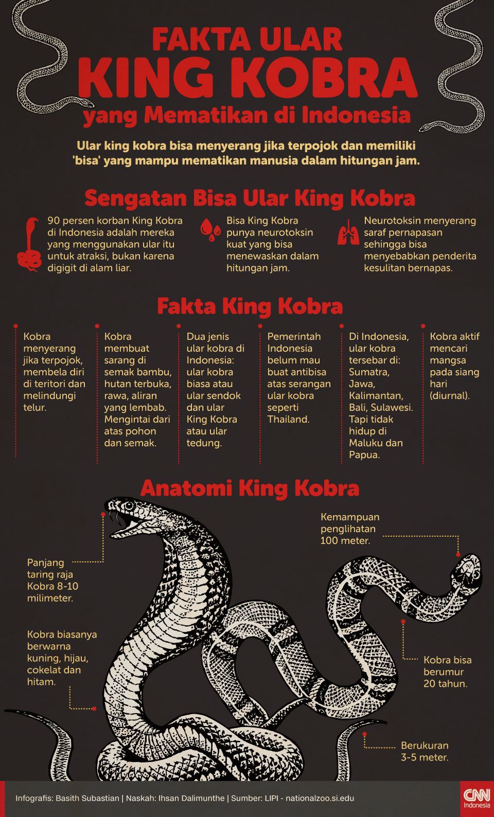 Infografis Fakta Ular King Kobra yang Mematikan di Indonesia