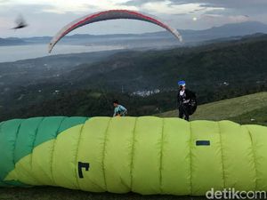 Seribu Nyali Franky Si Pemberani