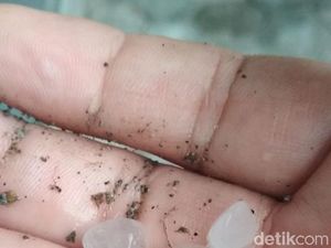 Disertai Angin Kencang, Hujan Es Terjadi Di Bojonegoro