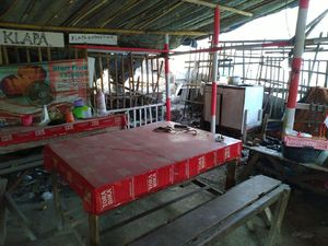 Tetangga Sebut King Kobra yang Tewaskan Rendy Baru Dibeli 3 Minggu Lalu Tetangga Sebut King Kobra yang Tewaskan Rendy Baru Dibeli 3 Minggu Lalu