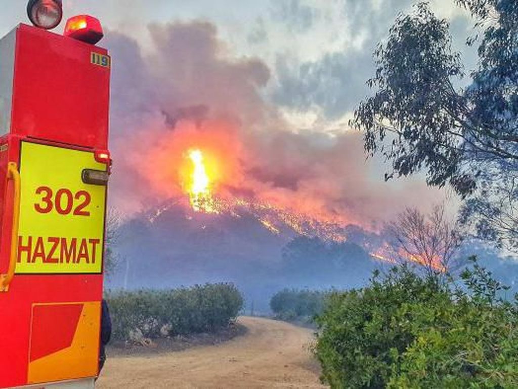 Besok Lebih Mengerikan, Kebakaran Hutan Musnahkan 850 Ribu Hektar Lahan di Australia Besok Lebih Mengerikan, Kebakaran Hutan Musnahkan 850 Ribu Hektar Lahan di Australia