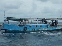 Australia Kembali Tangkap Perahu Nelayan Indonesia Bawa Sirip Hiu