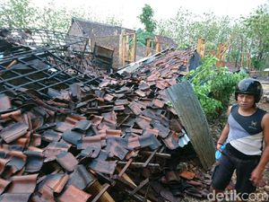 Angin Kencang Kembali Landa Bojonegoro, Robohkan Rumah dan Tumbangkan Pohon
