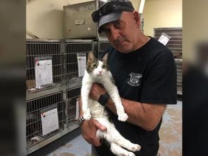 ABG 14 Tahun Ditangkap Atas Pembunuhan Aktivis Penyelamat Hewan