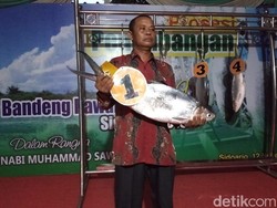 Bandeng 7,66 Kg Juarai Festival Perayaan Maulid Nabi di Sidoarjo