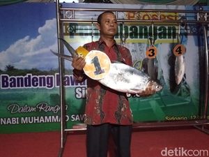 Bandeng 7,66 Kg Juarai Festival Perayaan Maulid Nabi di Sidoarjo Bandeng 7,66 Kg Juarai Festival Perayaan Maulid Nabi di Sidoarjo