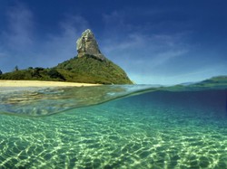 Palsukan Tes Corona Demi Masuk Pantai Tercantik Dunia, 4 Turis Ditangkap