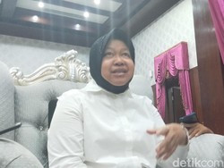 Pemkot Surabaya Buka 705 Formasi untuk CPNS 2019